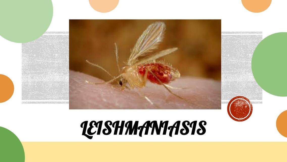 TEMA 12 LEISHMANIASIS