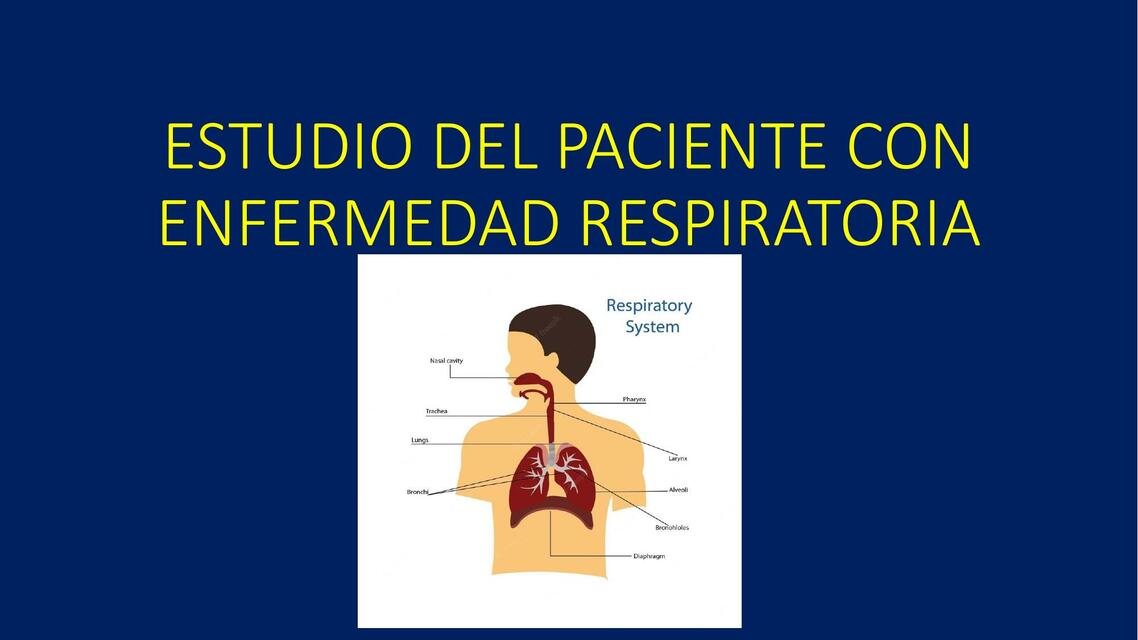 2 IPC RESPIRATORIO