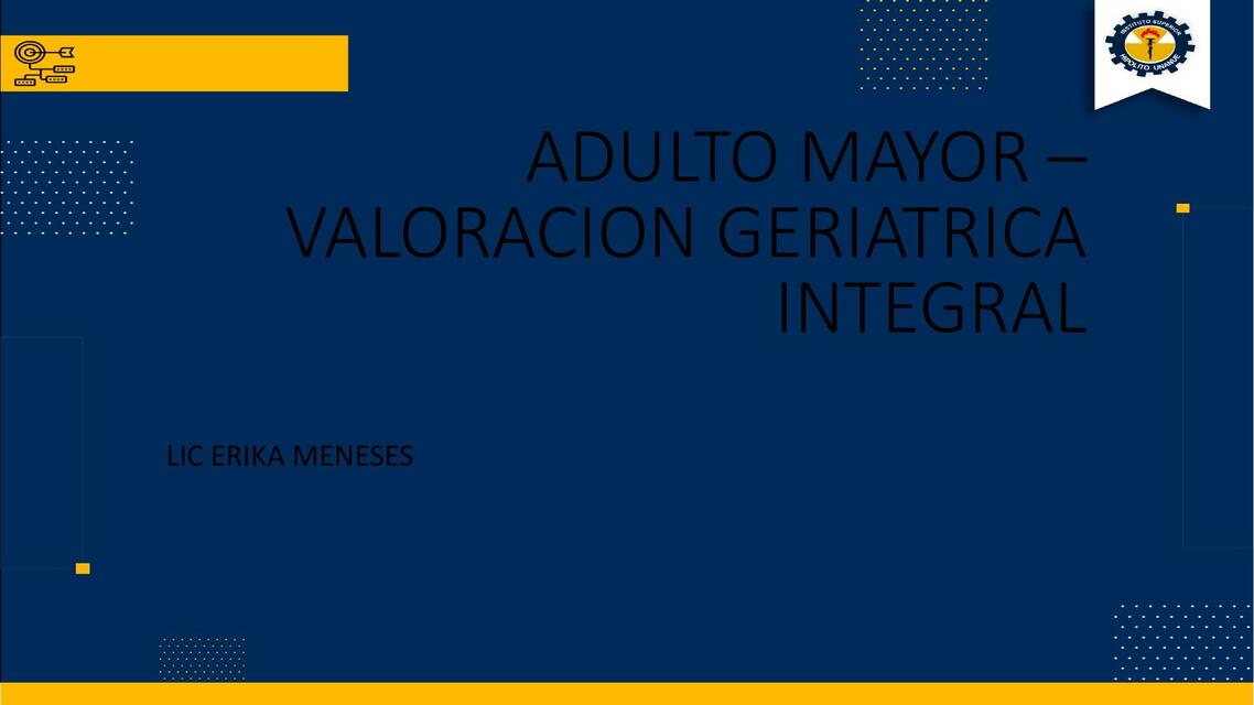 ADULTO MAYOR VGI