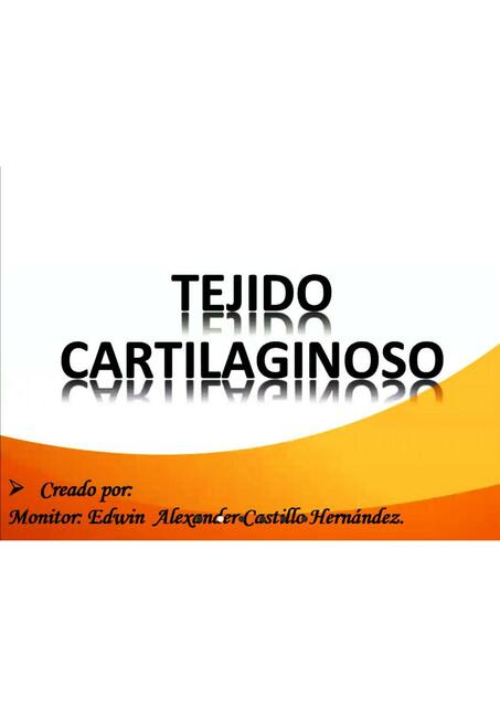 Tejido cartilaginoso