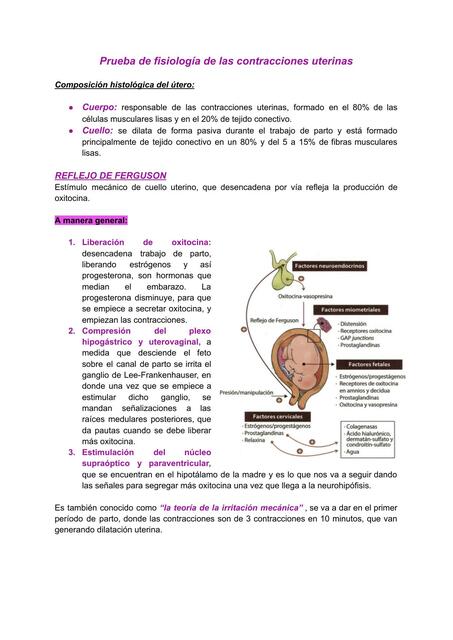 Fisiología de las contracciones uterinas