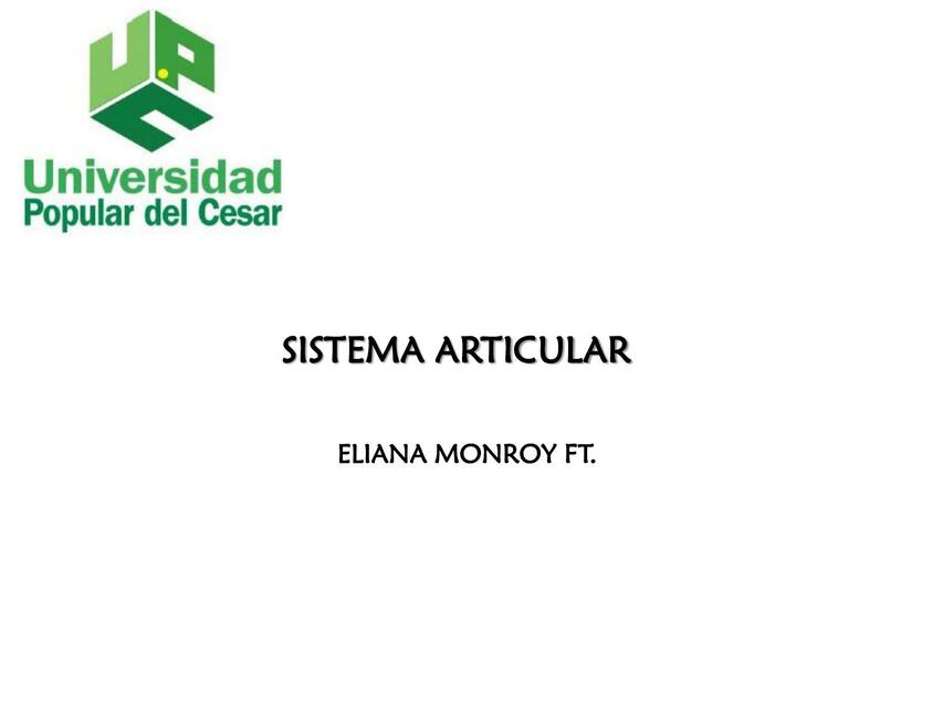 8 EDF SISTEMA ARTICULAR