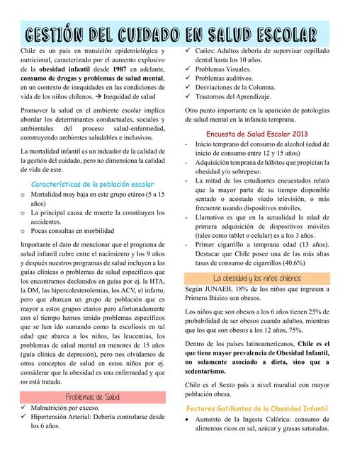 Gestión del cuidado en salud escolar en Chile