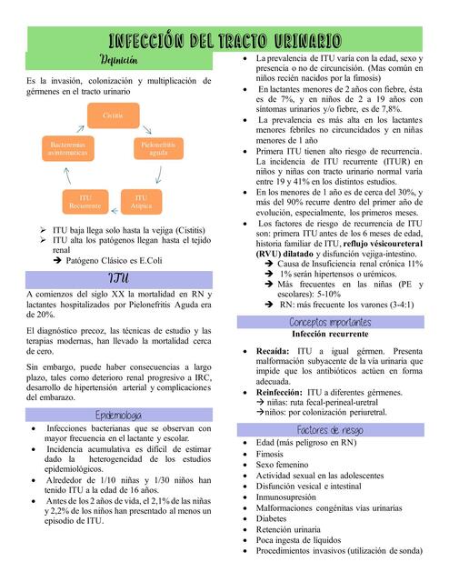 GC en el niño con infección de tracto urinario