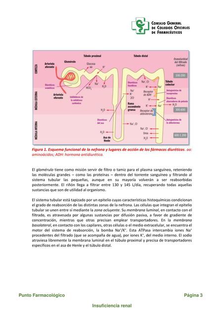 INSUFICIENCIA RENAL2