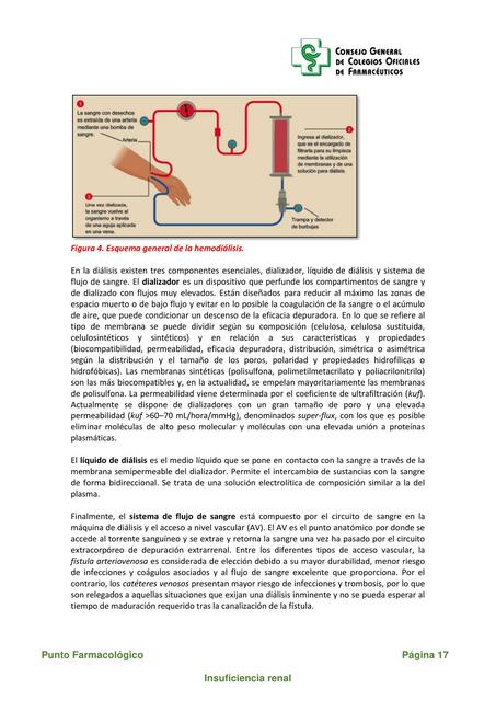 INSUFICIENCIA RENAL9