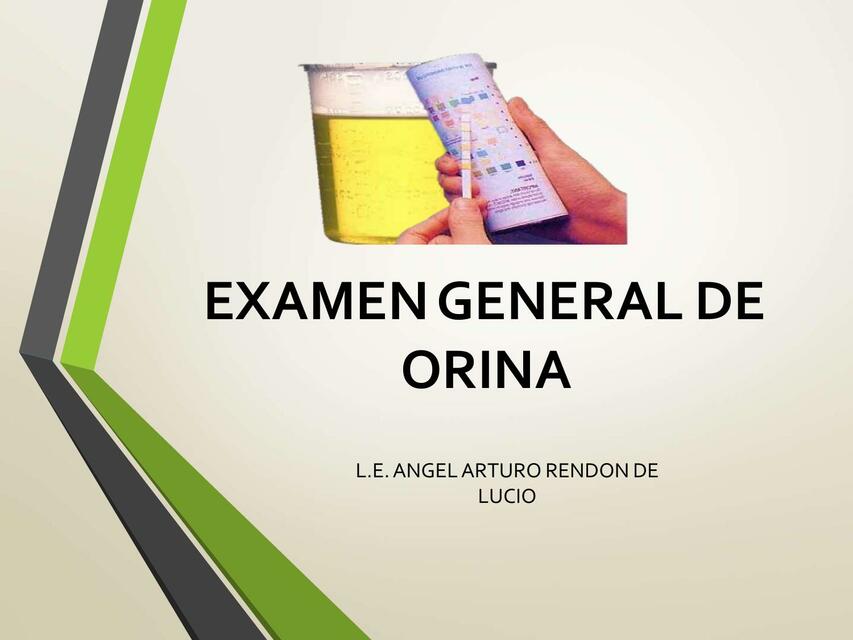 EXAMEN GENERAL DE ORINA