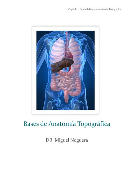 anatomia topografica quizz