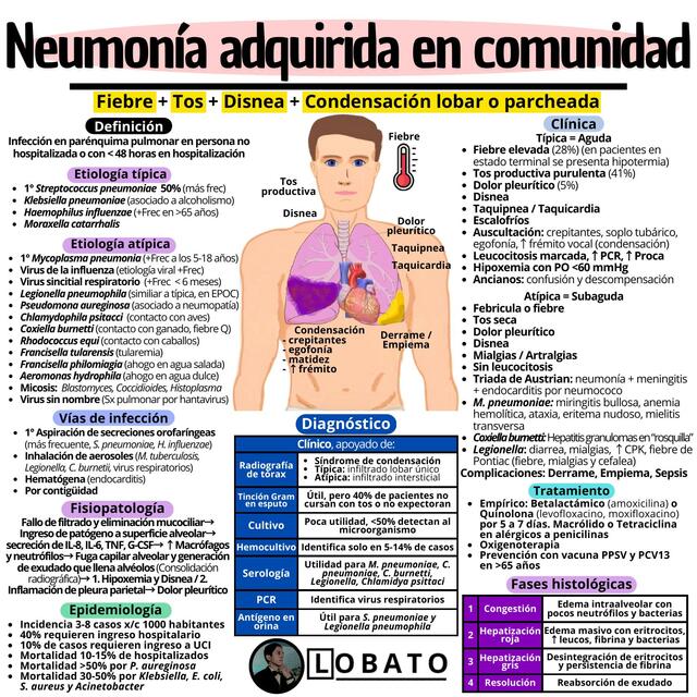 Neumonía 🩺| Clínica, Diagnóstico, Tratamiento, Fisiopatología