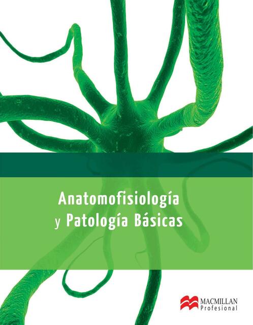 ANATOMOFISIOLOGÍA Y PATOLOGÍA BÁSICAS