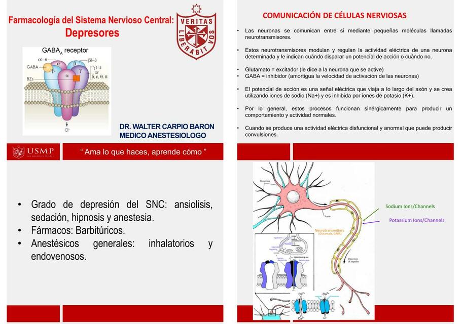 7 DEPRESORES CARPIO