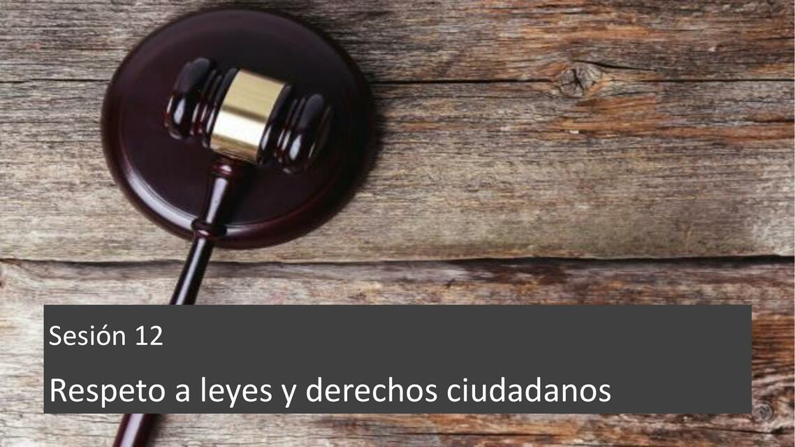 Actividad DD Respeto leyes y derechos 