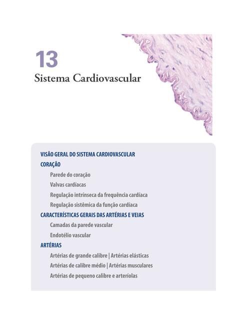 Sistema cardiovascular 