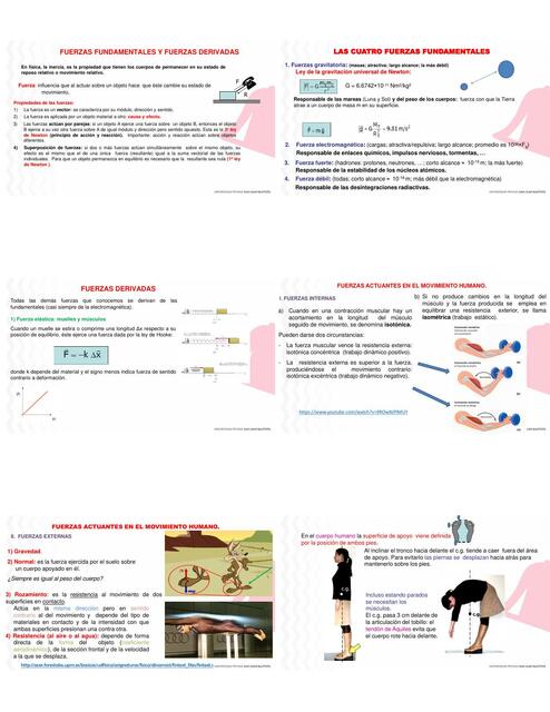 bases 8 teroria