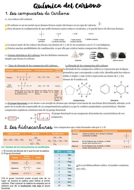 Química del Carbono - Apunte y resumen ✨