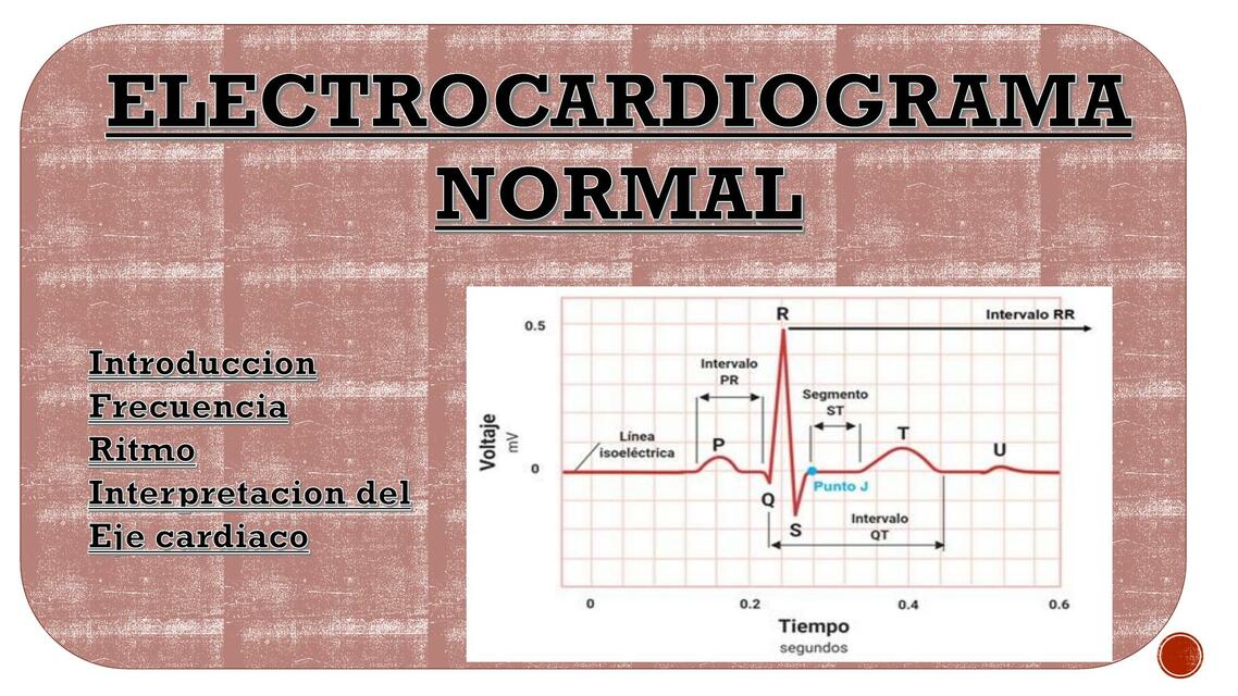 ELECTROCARDIOGRAMA NORMAL Y PATOLOGICO m