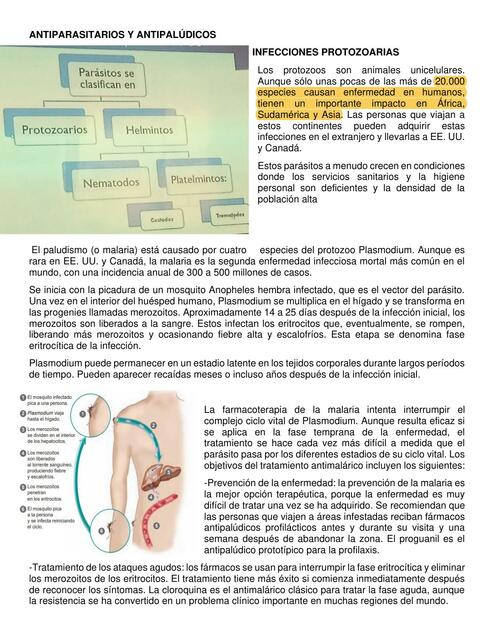 APUNTES DE FARMA