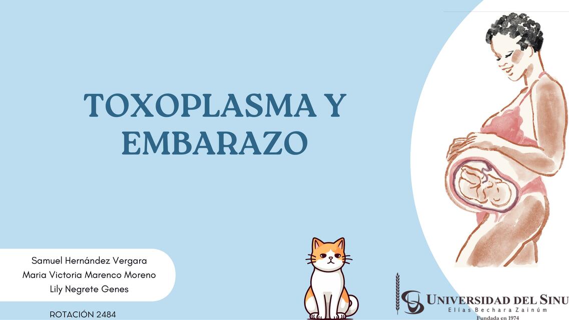 Toxoplasma y embarazo