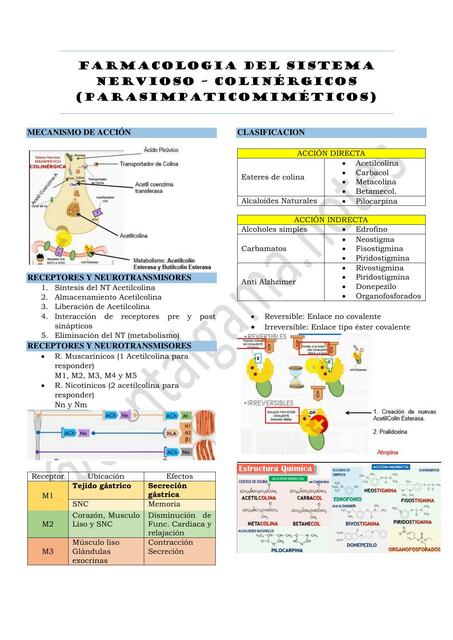 SNC COLINERGICOS Y ANTICOLINERGICOS