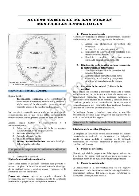 ACCESO CAMERAL DE LAS PIEZAS DENTARIAS ANTERIORES