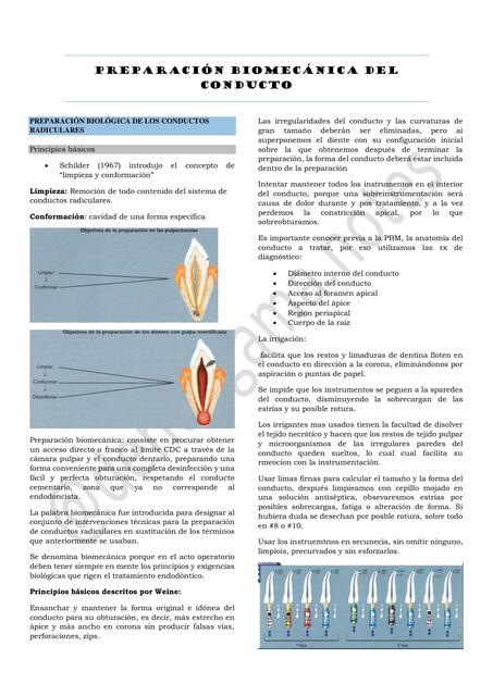 PREPARACION BIOMECANICA DEL CONDUCTO