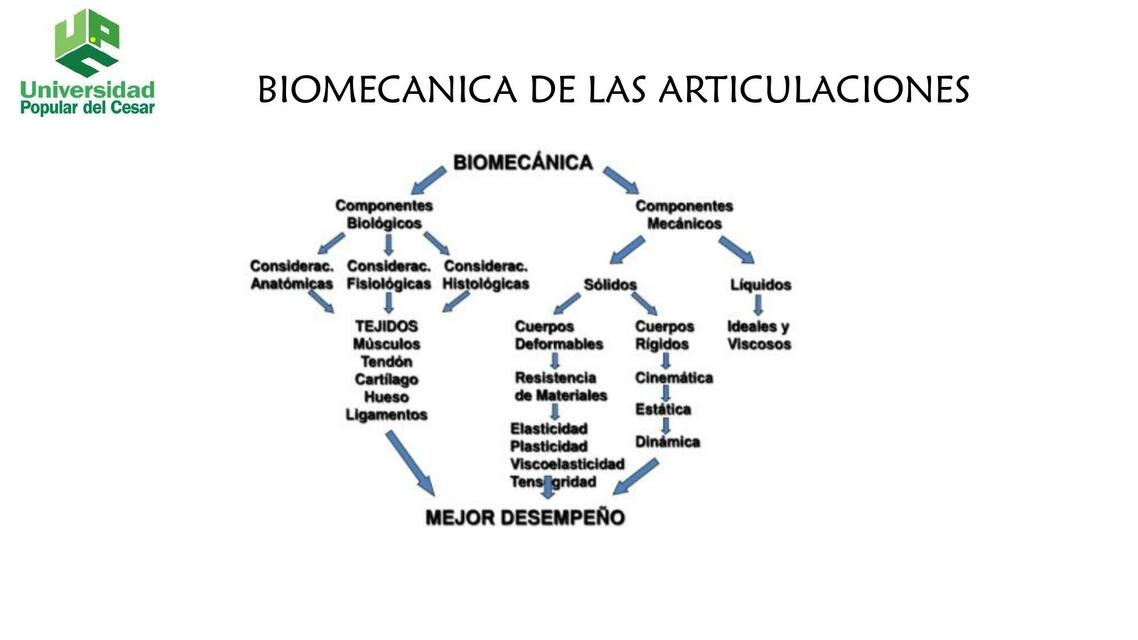 BIOMECANICA DE RODILLA ppt