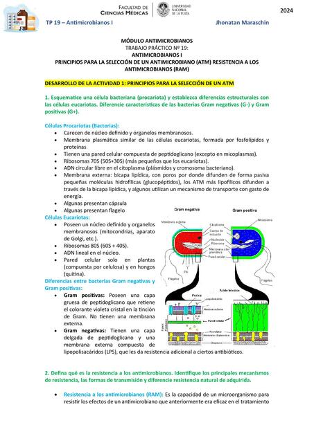 TP 19 Antimicrobianos 1