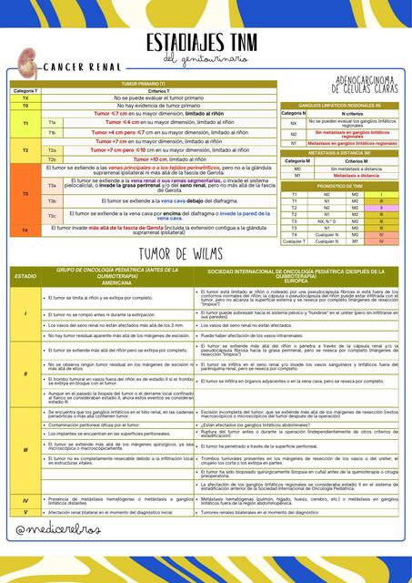 ESTADIAJE TNM GENITOURINARIO