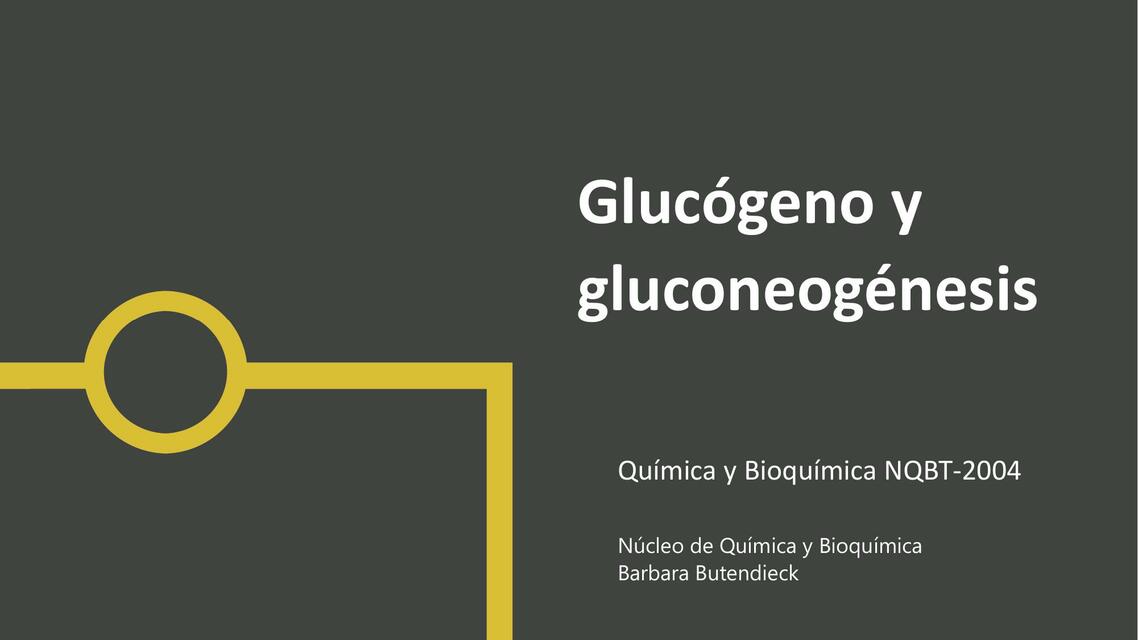 16 glucógeno gluconeogénesis