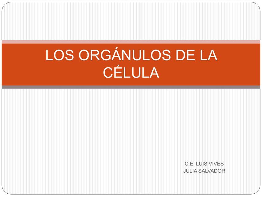 los organulos celulares