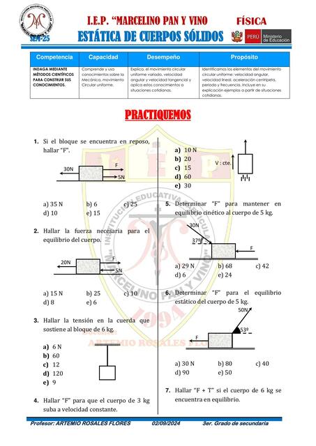 SEM 25 ESTATICA LEYES DE NEWTON 3RO