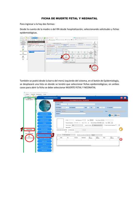 FICHA DE MUERTE FETAL Y NEONATAL