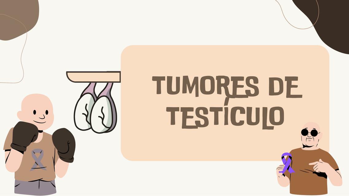 Tumores de testiculo