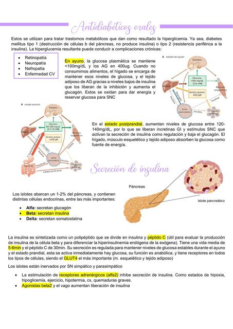 Fármaco completo