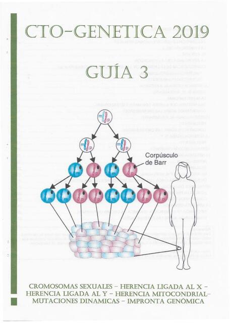 Guia de Genetica CTO 3