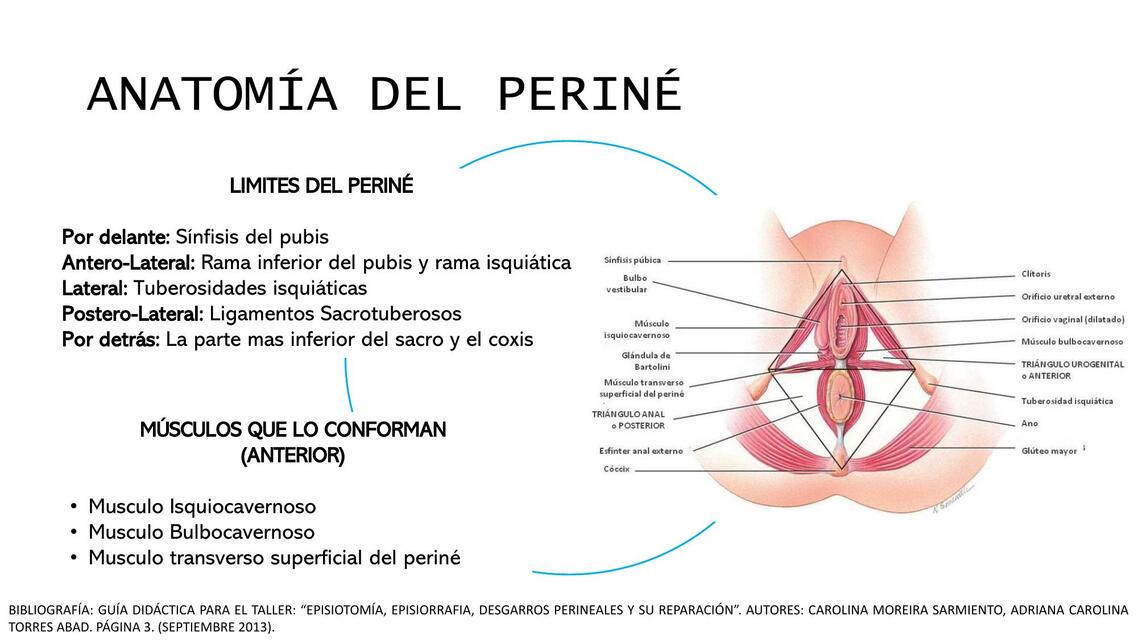 EPISIOTOMÍA Y EPISORRAFIA