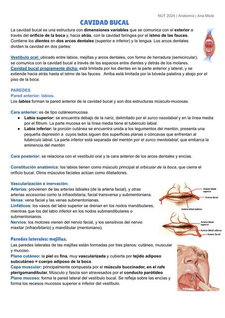 CAVIDAD BUCAL Y ANEXOS