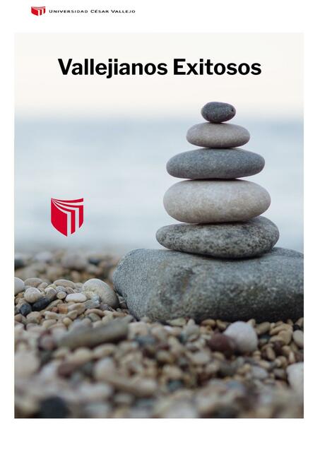 informe terminado Vallejianos Exitosos docx