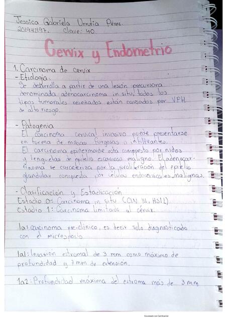 cervix y endometrio