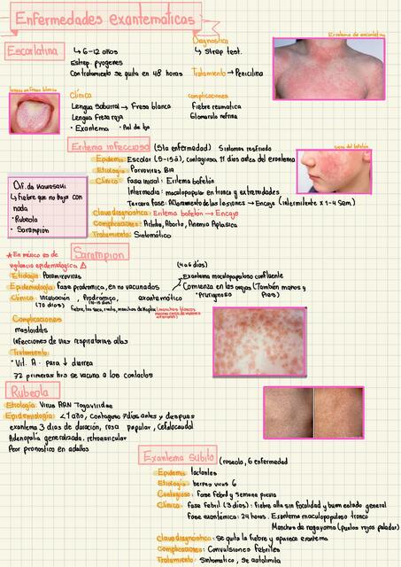 Enfermedades exantematicas parte 1