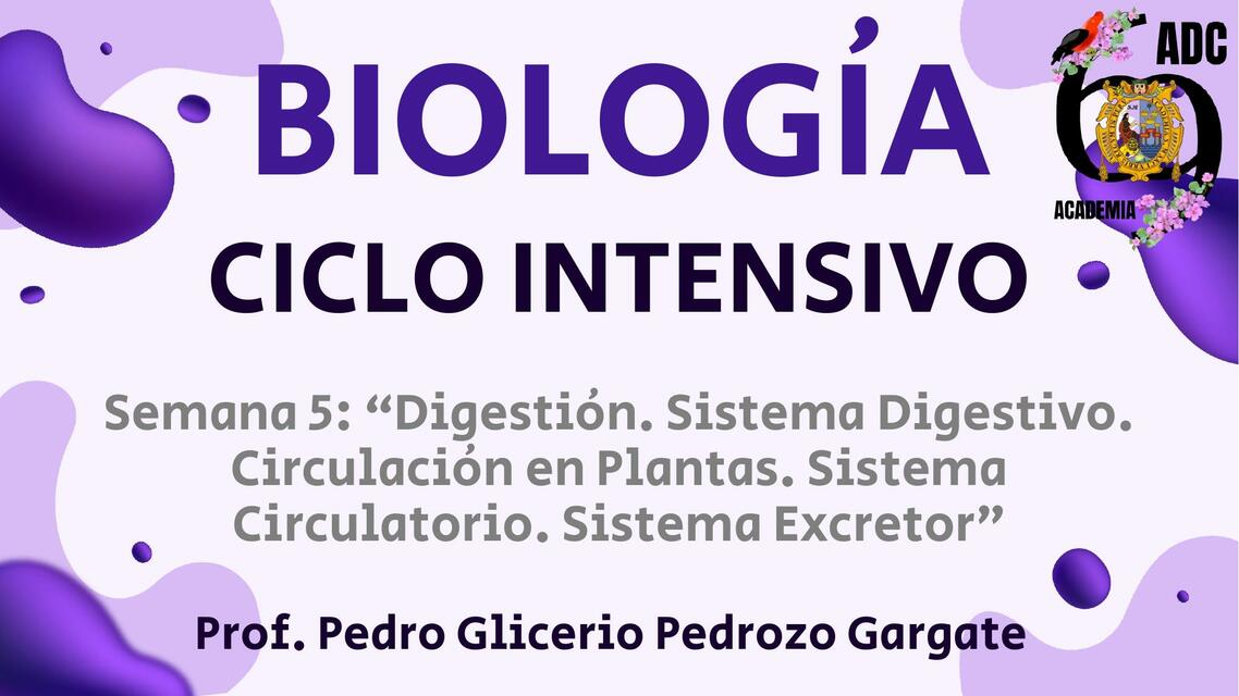 BIOLOGÍA - SISTEMA DIGESTIVO, CIRCULATORIO Y EXCRETOR