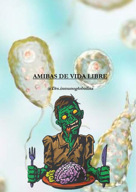 Amibas De Vida Libre Drs Inmunoglobulinas Udocz