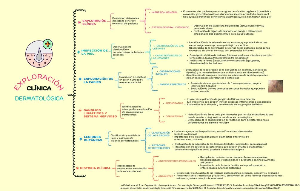 Dermatología exploración y lesiones elementales