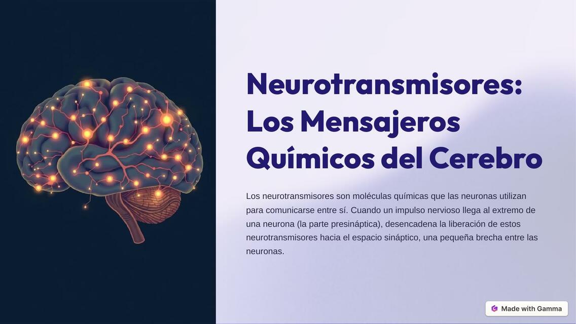 Neurotransmisores Los Mensajeros Quimicos