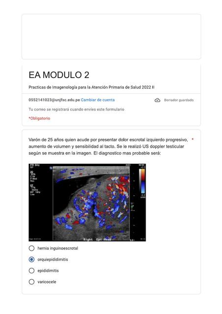 Prácticas de Imagenología para la Atención Primaria de Salud 2022 II