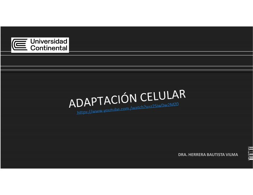 Adaptación celular 