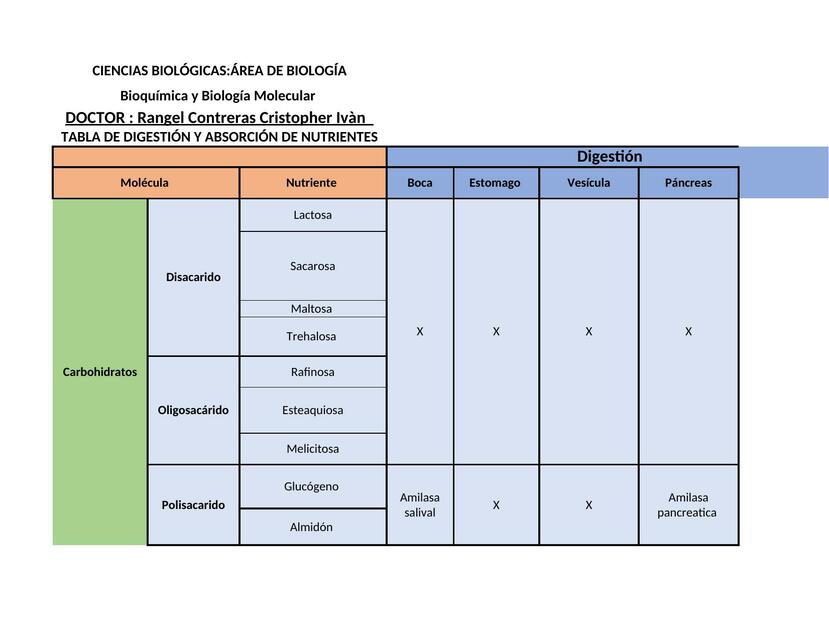 TABLA METABOLISMO