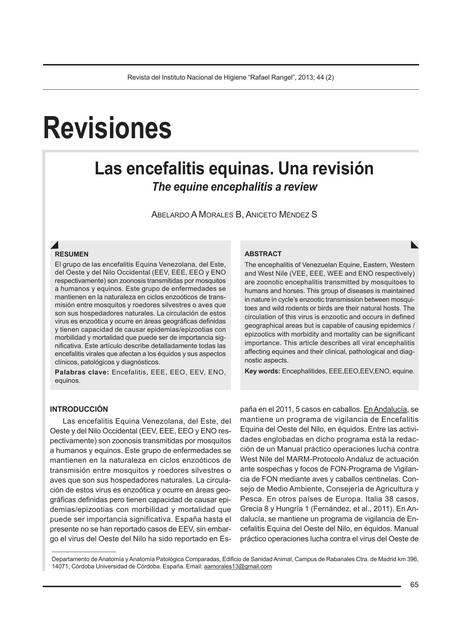 Las encefalitis equinas Una revisión