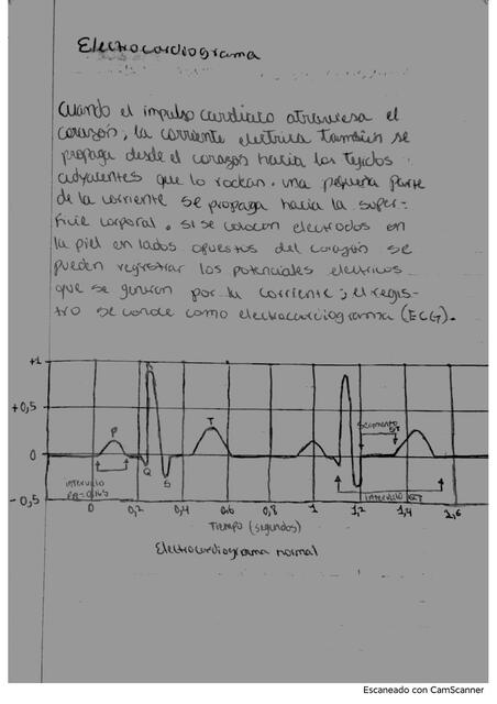 Electrocardiograma