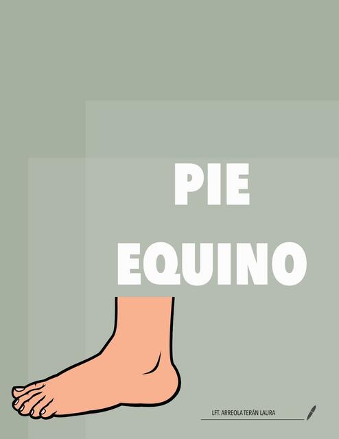 PIE EQUINO